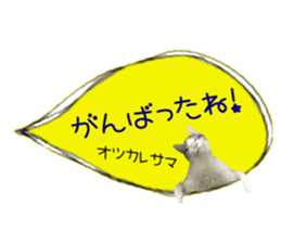cat of cure congratulations Cheering sticker #15075446