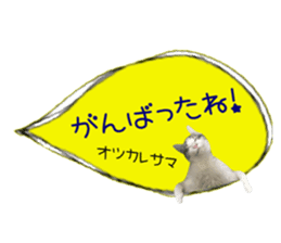 cat of cure congratulations Cheering sticker #15075446