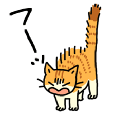 Brown&White<Cat sticker> sticker #15075557