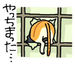 Brown&White<Cat sticker> sticker #15075559