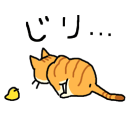 Brown&White<Cat sticker> sticker #15075560