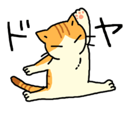Brown&White<Cat sticker> sticker #15075562