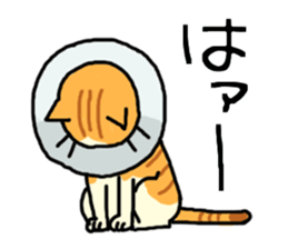 Brown&White<Cat sticker> sticker #15075564