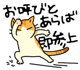 Brown&White<Cat sticker> sticker #15075575