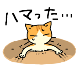 Brown&White<Cat sticker> sticker #15075577