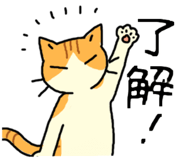 Brown&White<Cat sticker> sticker #15075585