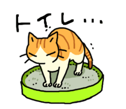 Brown&White<Cat sticker> sticker #15075588