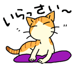 Brown&White<Cat sticker> sticker #15075589