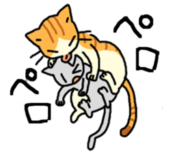 Brown&White<Cat sticker> sticker #15075590