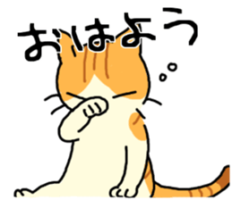 Brown&White<Cat sticker> sticker #15075591