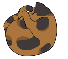 Tortoiseshell<Cat sticker> sticker #15075985