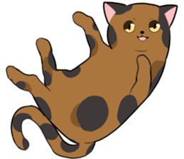 Tortoiseshell<Cat sticker> sticker #15075986
