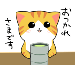 Munchkin<Cat sticker> sticker #15076170