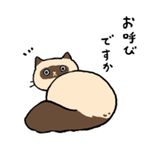 Himalayan<Cat sticker> sticker #15076300