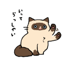 Himalayan<Cat sticker> sticker #15076301