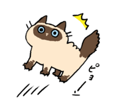 Himalayan<Cat sticker> sticker #15076307
