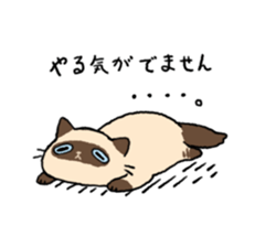 Himalayan<Cat sticker> sticker #15076313