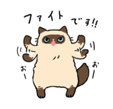 Himalayan<Cat sticker> sticker #15076316