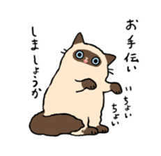 Himalayan<Cat sticker> sticker #15076317