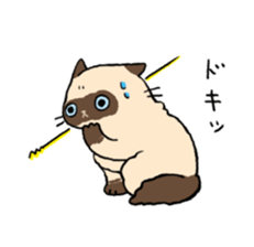 Himalayan<Cat sticker> sticker #15076320