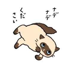 Himalayan<Cat sticker> sticker #15076321