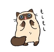 Himalayan<Cat sticker> sticker #15076322
