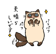 Himalayan<Cat sticker> sticker #15076323