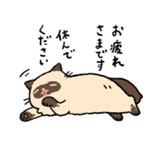 Himalayan<Cat sticker> sticker #15076326