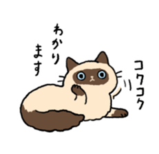 Himalayan<Cat sticker> sticker #15076328