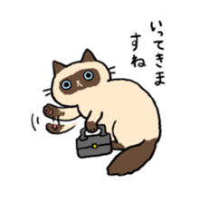 Himalayan<Cat sticker> sticker #15076331