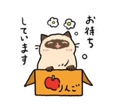 Himalayan<Cat sticker> sticker #15076332