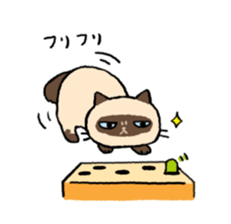 Himalayan<Cat sticker> sticker #15076338