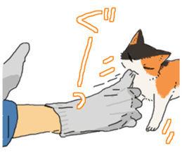 Calico Cat&Japanese Boy sticker #15076581