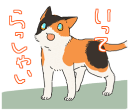Calico Cat&Japanese Boy sticker #15076599