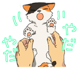 Calico Cat&Japanese Boy sticker #15076601