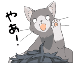 Silver cat&Japanese Boy sticker #15076635