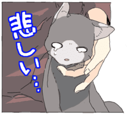 Silver cat&Japanese Boy sticker #15076636
