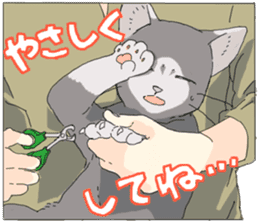 Silver cat&Japanese Boy sticker #15076641