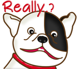 Adorable Pets sticker #15078131