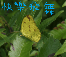 Nature Park sticker #15078693