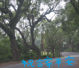 Nature Park sticker #15078695