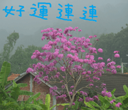 Nature Park sticker #15078696