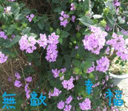 Nature Park sticker #15078698