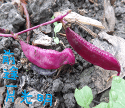 Nature Park sticker #15078699