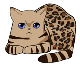 Leopard cat&Japanese Boy sticker #15079388