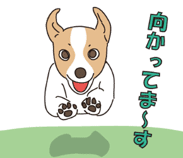 We love the Jack russel terrier! ! sticker #15080497