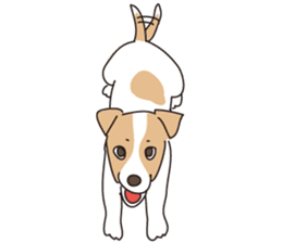 We love the Jack russel terrier! ! sticker #15080499