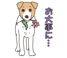 We love the Jack russel terrier! ! sticker #15080507