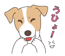 We love the Jack russel terrier! ! sticker #15080508