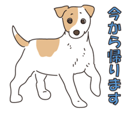 We love the Jack russel terrier! ! sticker #15080511